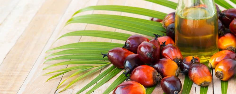 Palmový olej – „viník“ ve složení způsobuje zácpu