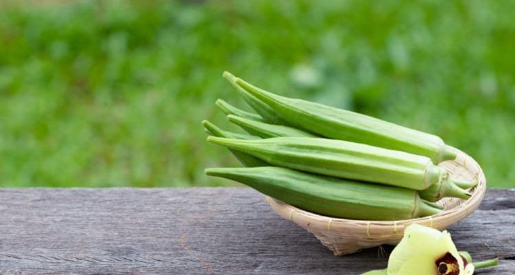 Descobreix 8 beneficis de lokra per a la salut dels nens