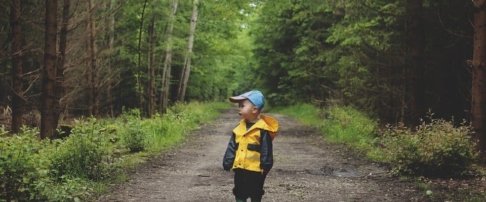 Kõige elementaarsem metsa ellujäämisoskus, mida peate teadma