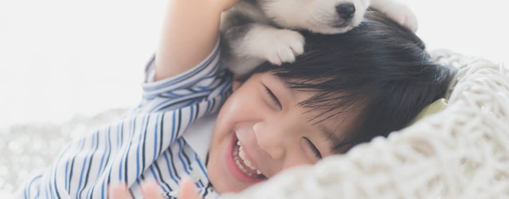 5 druhů mazlíčků vhodných pro malé děti, které si můžete adoptovat