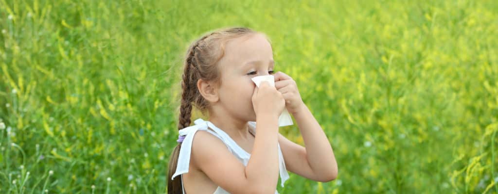 Přečtěte si o sezónní alergické rýmě a o tom, jak ji léčit doma
