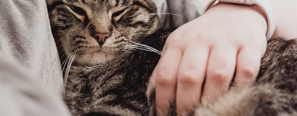 8 glasina o trudnoći pokazalo se istinitim!