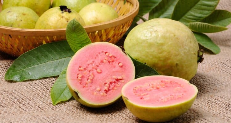 Zázračné výhody, když těhotné ženy jedí guavu během těhotenství