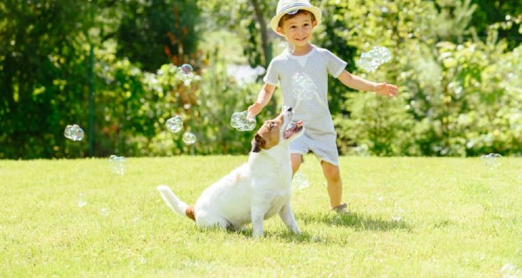 Správná manipulace při pokousání dítěte psem a jak tomu předejít
