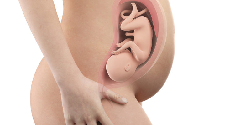 34 týdnů těhotenství: Jak se dítě vyvíjí, jak se mění matka?