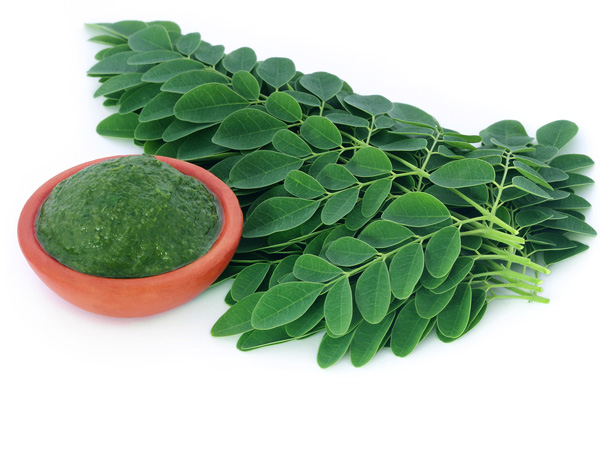 Moringa er ikke et alternativ for gravide