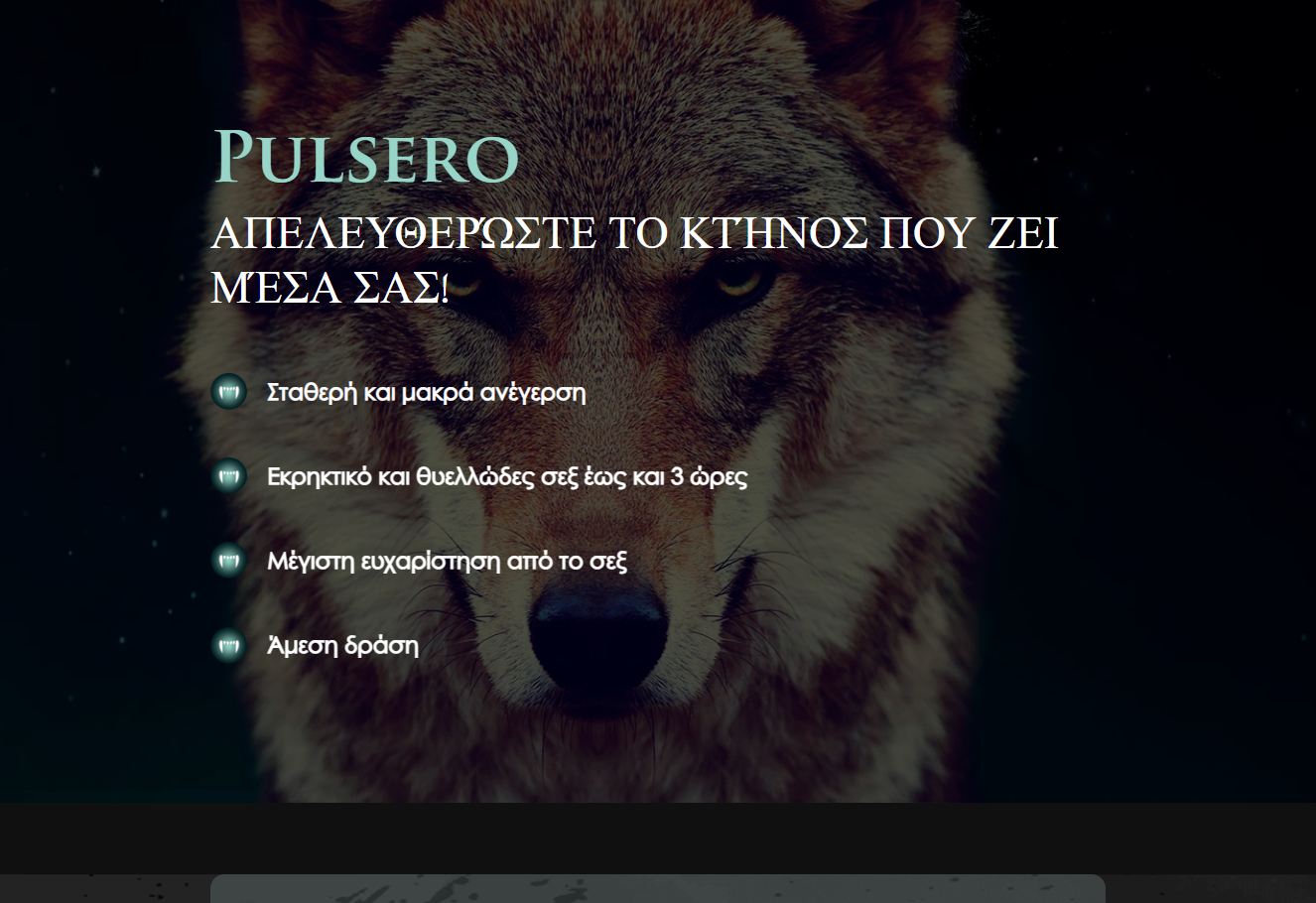 Εικόνα Pulsero