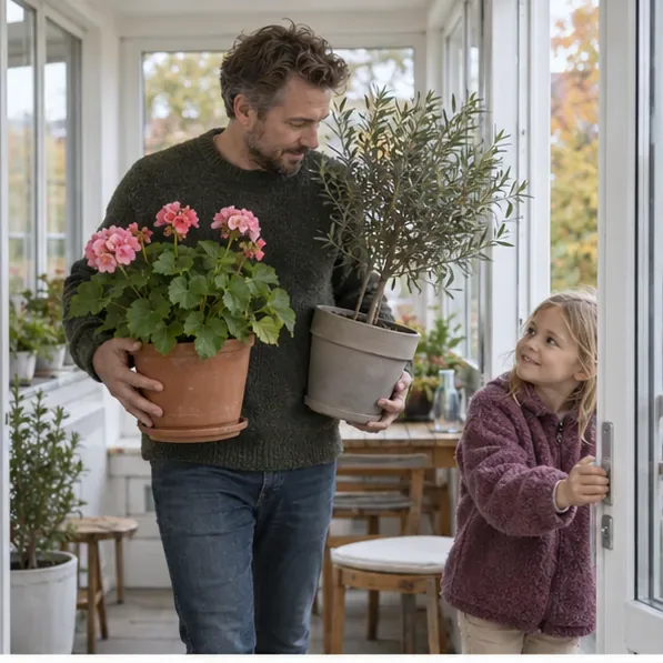 En voksen bærer en pelargonie og et lille oliventræ ind i en lys udestue, mens et barn holder døren