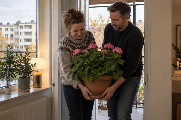 Två vuxna bär en blommande pelargonium i kruka genom balkongdörren mot ett ljust rum.